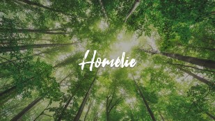 Homélie de la messe du 14 avril 2019 à Rennes