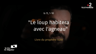 Parole inattendue avec Joann Sfar