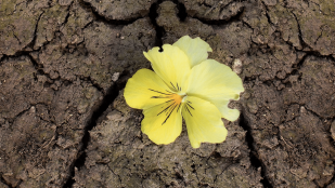 Matinée spéciale Covid : “Espérer ensemble”