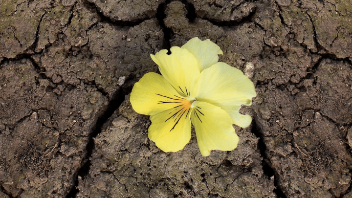 Matinée spéciale Covid : “Espérer ensemble”