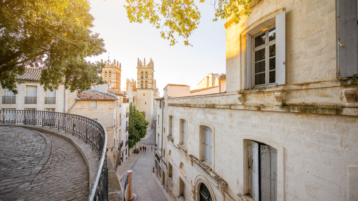 « Sur les traces de Jésus » à Montpellier et Messe de la Fête de la Sainte Famille