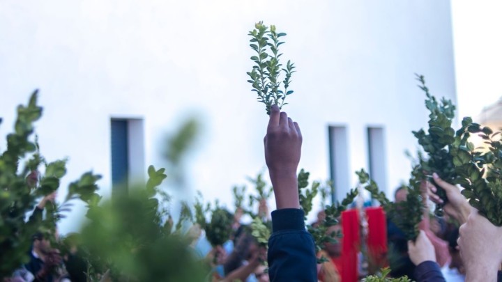 Dimanche des Rameaux et de la Passion du Seigneur