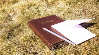 Toutes les homélies