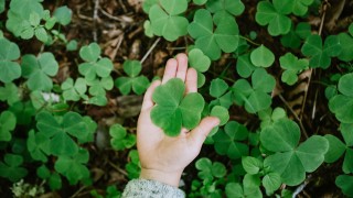 Dieu, l’homme, les chrétiens et la nature