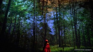 Le petit chaperon rouge ou le courage au féminin