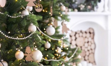 Quelle est l’histoire du sapin de Noël ?