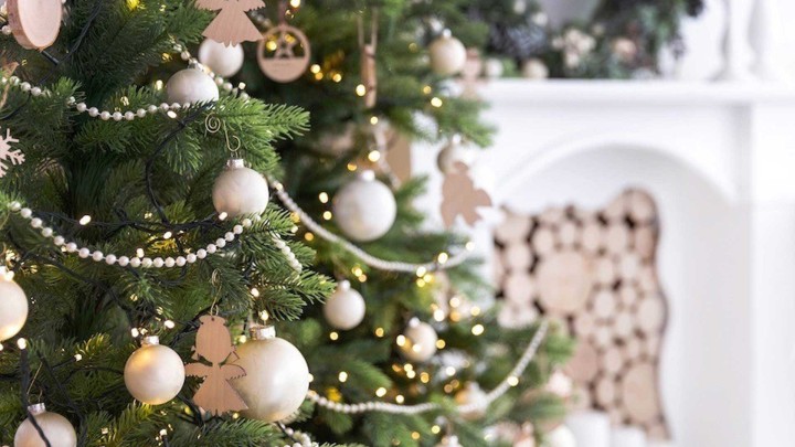 Quelle est l’histoire du sapin de Noël ?