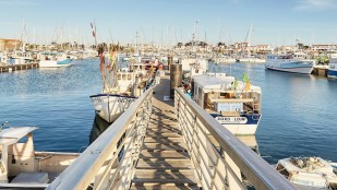 Messe à ciel ouvert du 28 août 2022 à Noirmoutier-en-l-île