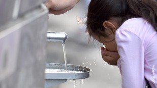 Carême « Soif de vivre ! »  : Vie assoiffée, soif étanchée de Foucauld Giuliani