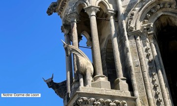 Le peuple de pierres, un documentaire sur les sculptures des cathédrales