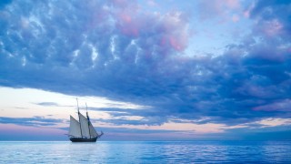 "La mer, un sanctuaire" par Laurence Devillairs