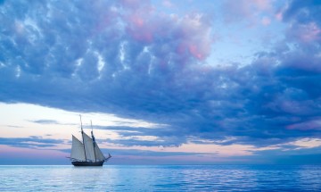 "La mer, un sanctuaire" par Laurence Devillairs