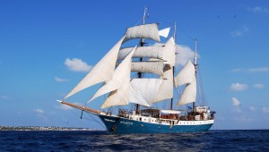 Émission spéciale en direct de l’Armada 2023