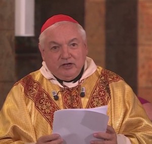 Homélie du cardinal Aveline - 9 novembre 2025 à Lourdes