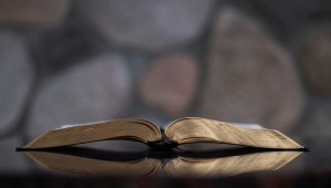 Homélie du 19 avril 2026