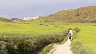 Marcher sur les chemins de Saint-Jacques-de-Compostelle