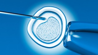 Regards chrétiens sur des sujets de bioéthique