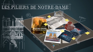 Les piliers de Notre-Dame