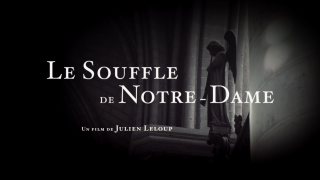 Notre-Dame de Paris : un documentaire exceptionnel sur la restauration de l’orgue