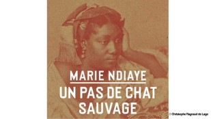 [Festival d'Avignon 2024] Nathalie Dessay sur les pas d’Ana María Loreto Martínez, la Malibran des Antilles