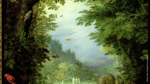 Les arbres dans la Bible