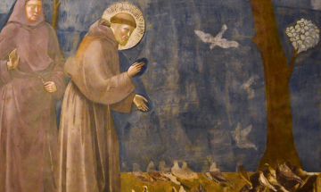 Saint François d'Assise : année jubilaire pour les 800 ans de sa mort