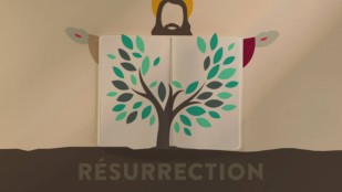 Fin du carême 2026 : comprendre les Rameaux, la Semaine sainte et Pâques