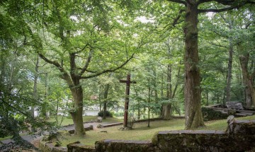 Messe du 14 juin 2026 à Lourdes