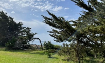 Messe du 16 août 2026 à Piriac-sur-Mer