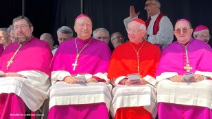La hiérarchie de l’Église catholique
