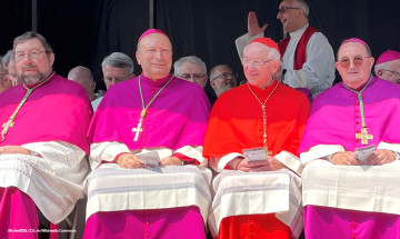 La hiérarchie de l’Église catholique