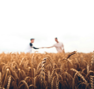 Agriculteurs en détresse : Votre programme de ce dimanche