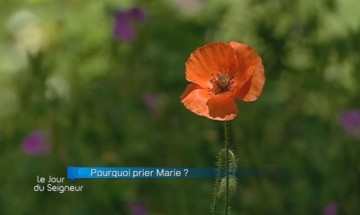 Si j’ai bien compris