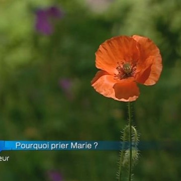 Si j’ai bien compris