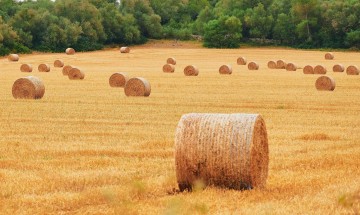 Messe du 9 août 2026 aux Grandes-Ventes