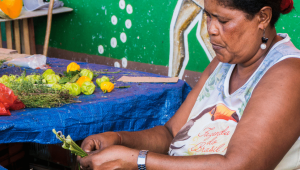 Les tisaneurs du Bon Dieu, un métier ancestral à La Réunion