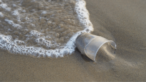 Pollution plastique dans les océans : la lutte d'OceaNOplastic