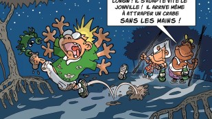 Planches, bulles et crayons en Outre-mer