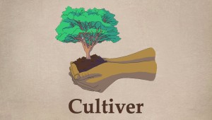 Cultiver (la terre)
