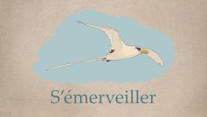 S'émerveiller
