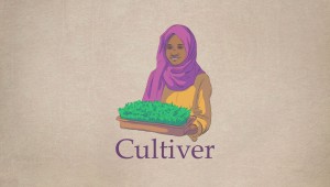 Cultiver (Islam) (Rediffusion)
