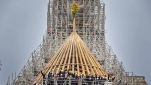 Rebâtir la charpente de Notre-Dame : une porte vers le ciel