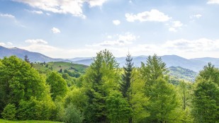 Laudato Si : 10 ans après