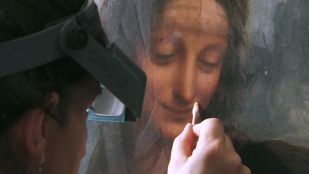 Léonard de Vinci - La restauration du siècle