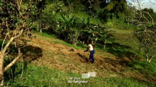 Martinique - Qu'as-tu fait de ta Terre ?