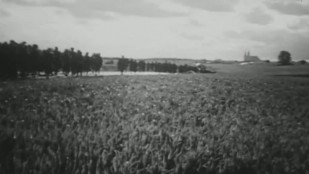 "Pèlerins de Chartres, sur les traces de Péguy" (1956)
