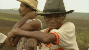 Nordeste : Le cri des sans-terre