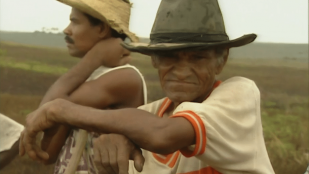 Nordeste : Le cri des sans-terre