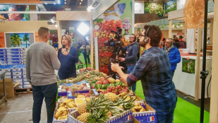 Agriculteurs, il faut avoir la foi !