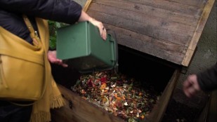 Label "Eglise verte"